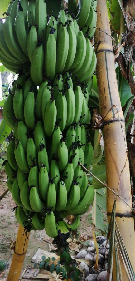 Karthik Villa Varkala Ngoại thất bức ảnh